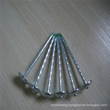 Hot Sale Bwg9X2.5" Twisted Shank Electro Galvanized Roofing Nails